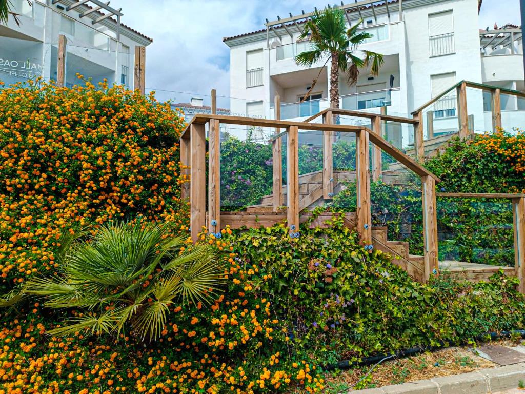 Small Oasis #1, Manilva - 4