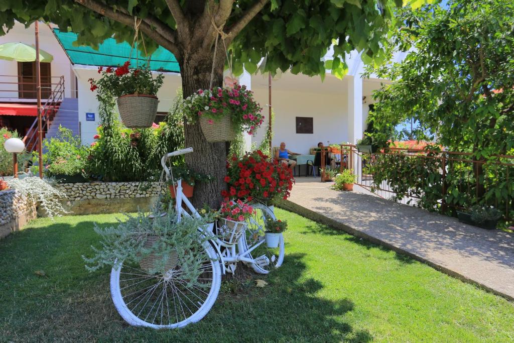 Apartment Zivogosce - Blato 1057d photo