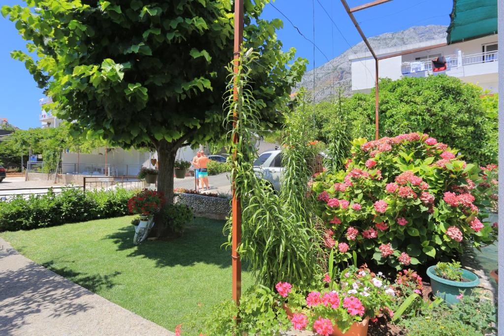 Apartment Zivogosce - Blato 1057d photo