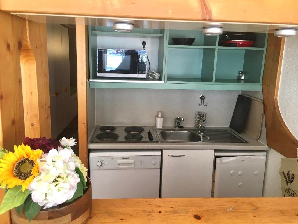 Studio au ski avec balcon et WiFi gratuit - FR-1-346-481 - 5