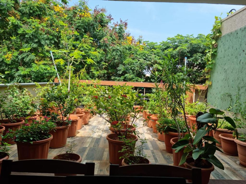 Terrace Garden — Hotel in Hyderabad
