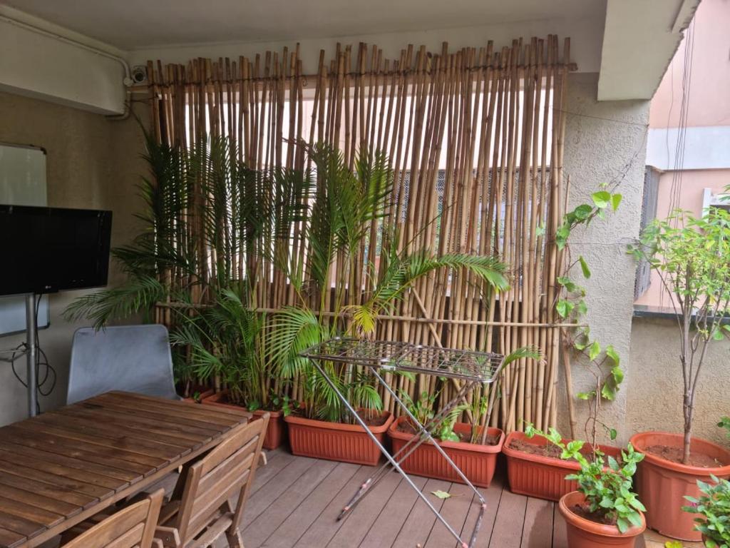 Terrace Garden photo