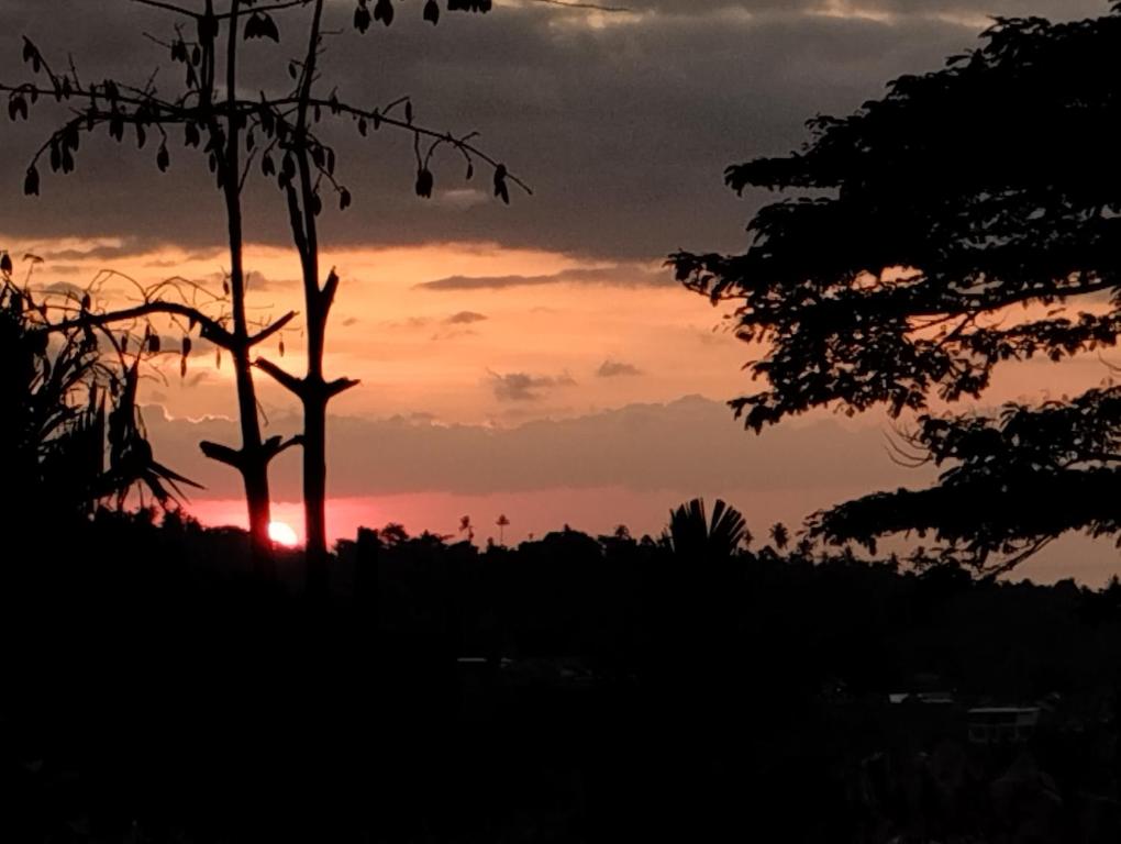 Rinjani Mountain Garden — Hotel in Lombok