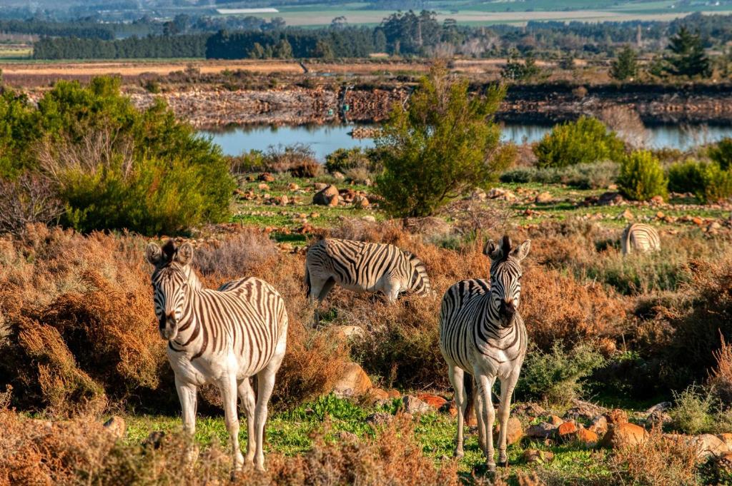 Welbedacht Game & Nature Reserve photo
