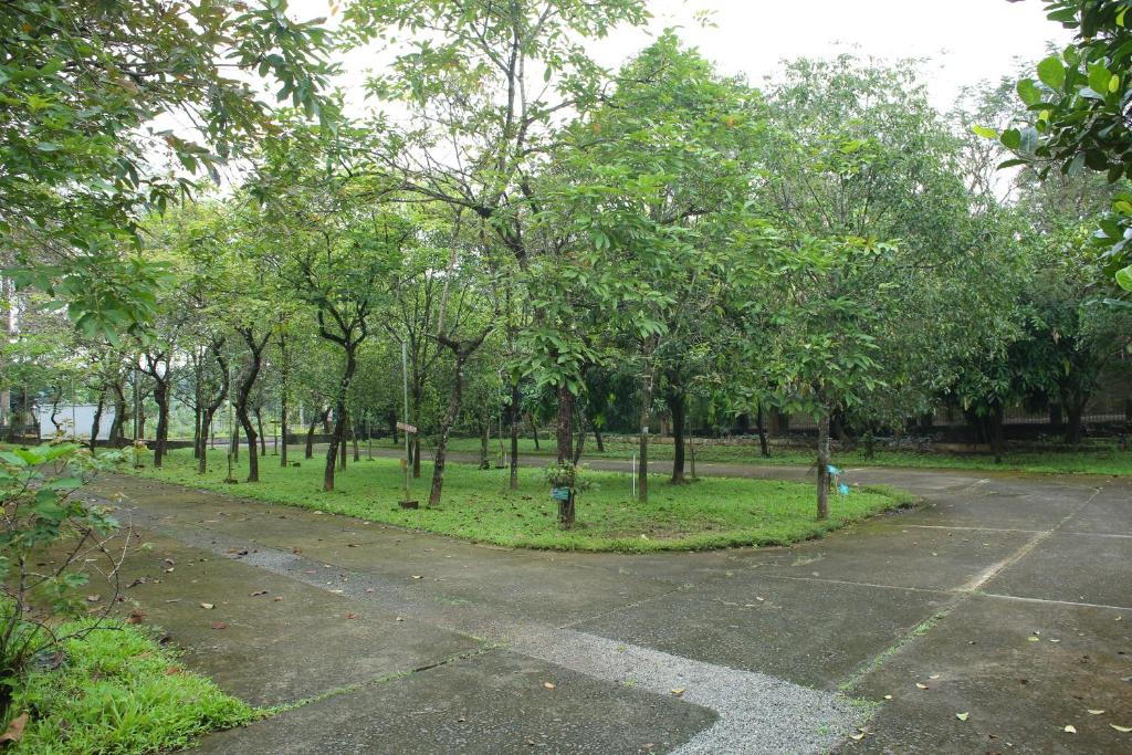 Emerald Hills Club photo
