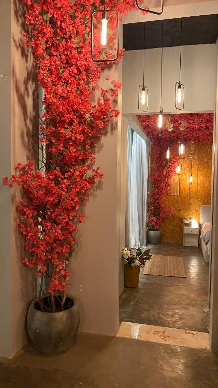 شاليهات المقصد Al Maqsd Chalets photo