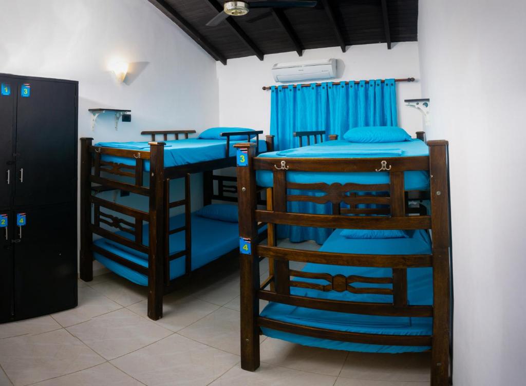 Dreamer Santa Marta photo