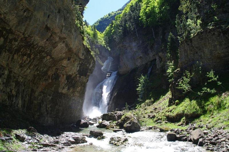 アクティビティ