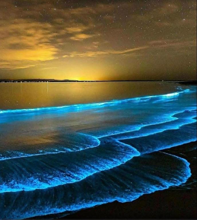 Surrounding environment