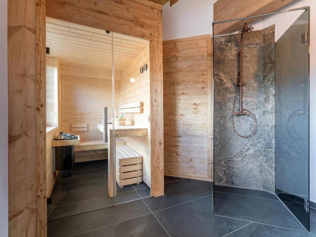 AlmApARTment Mauterndorf Pichl 9-5 - 4