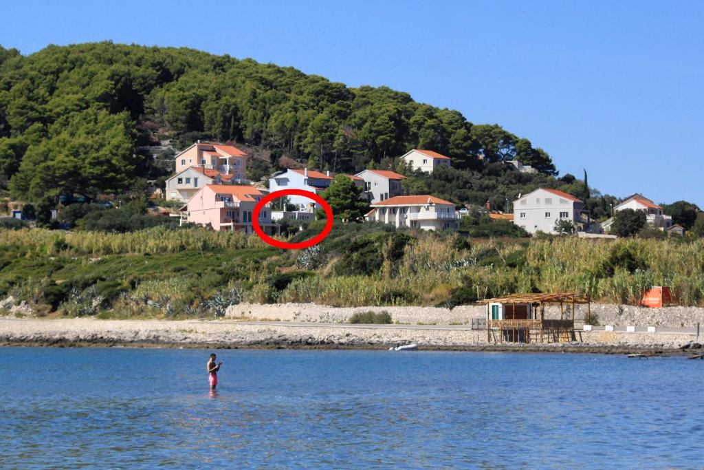 Apartments by the sea Lumbarda, Korcula - 4376, Lumbarda