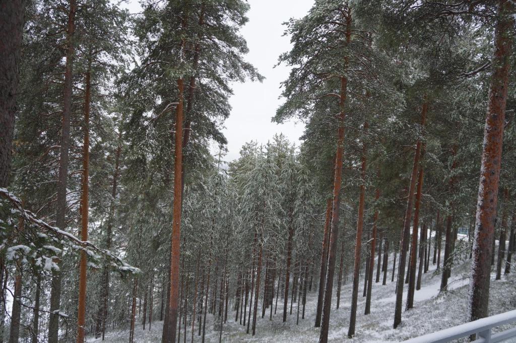 Surrounding environment