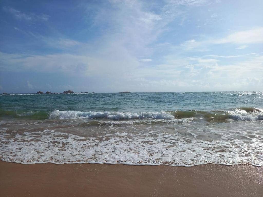  Navora Homestay  photo