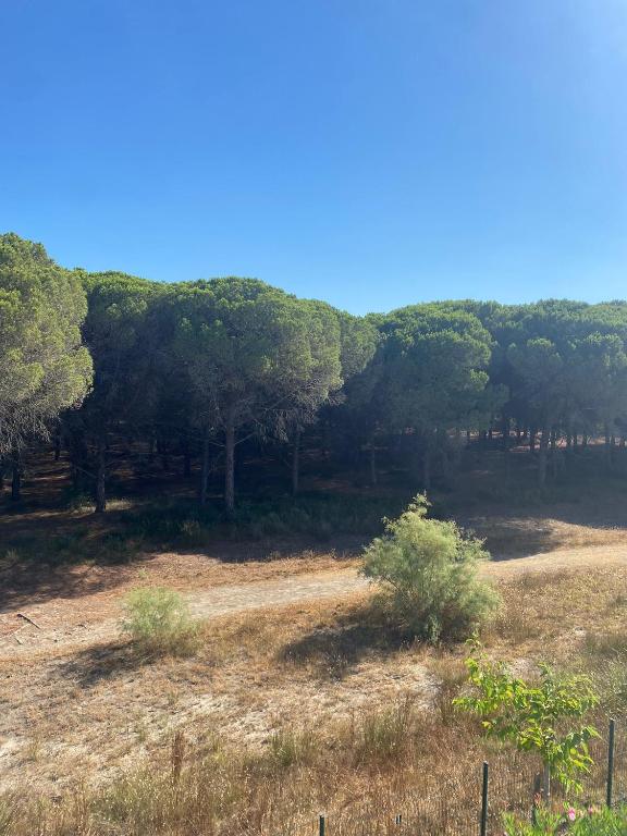 Studio cabine mer et pinède 26m2: 4pers, neuf, cosy - 5