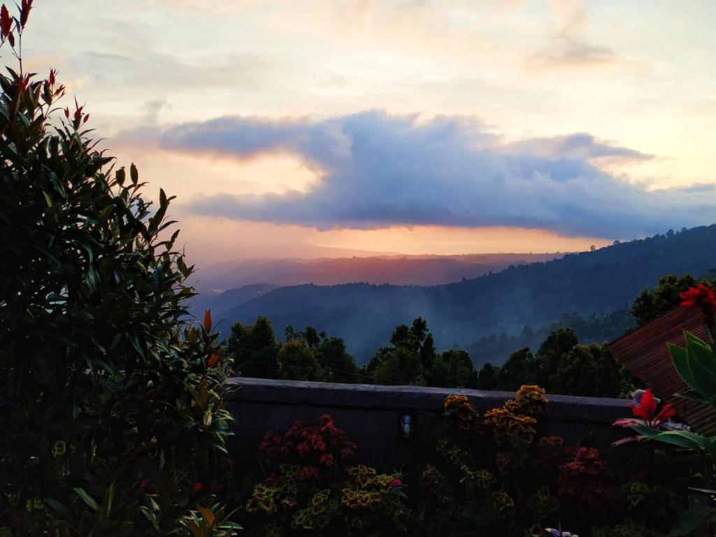 Exterior view, Puri Sunset Homestay in Bali