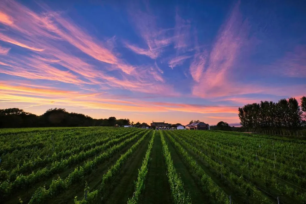Llanerch Vineyard Hotel、ヘンソルのホテル