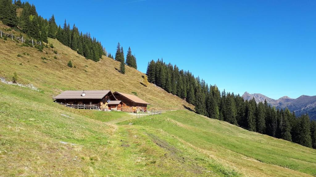 Vorderkaseralm - 1