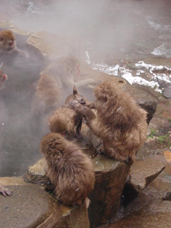 편의 시설/서비스