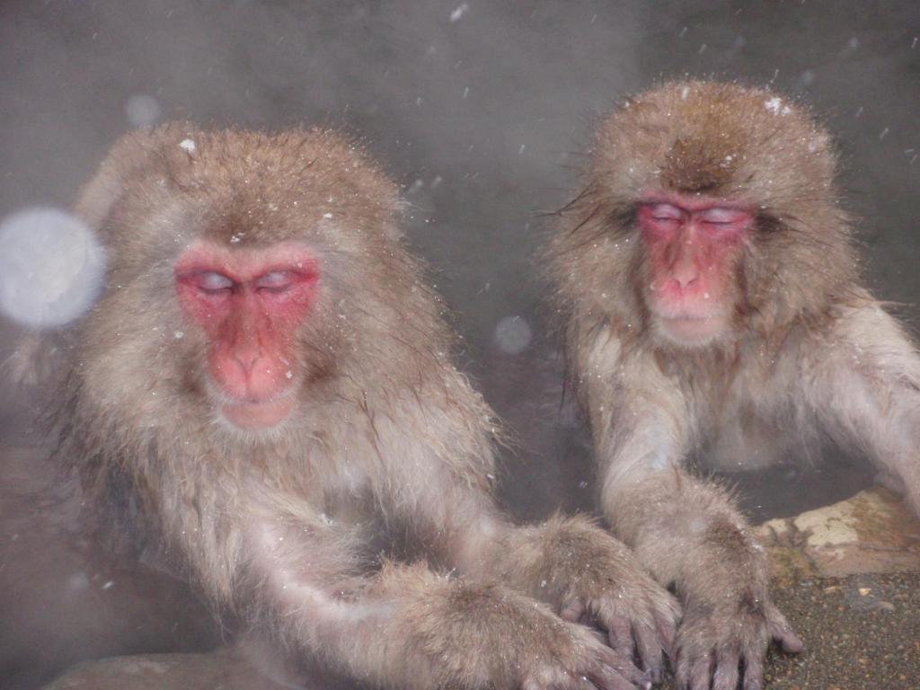 편의 시설/서비스