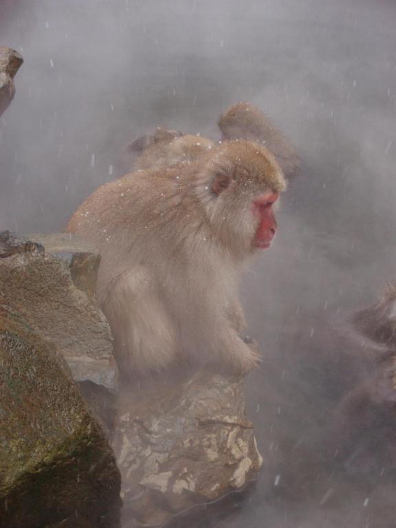 편의 시설/서비스