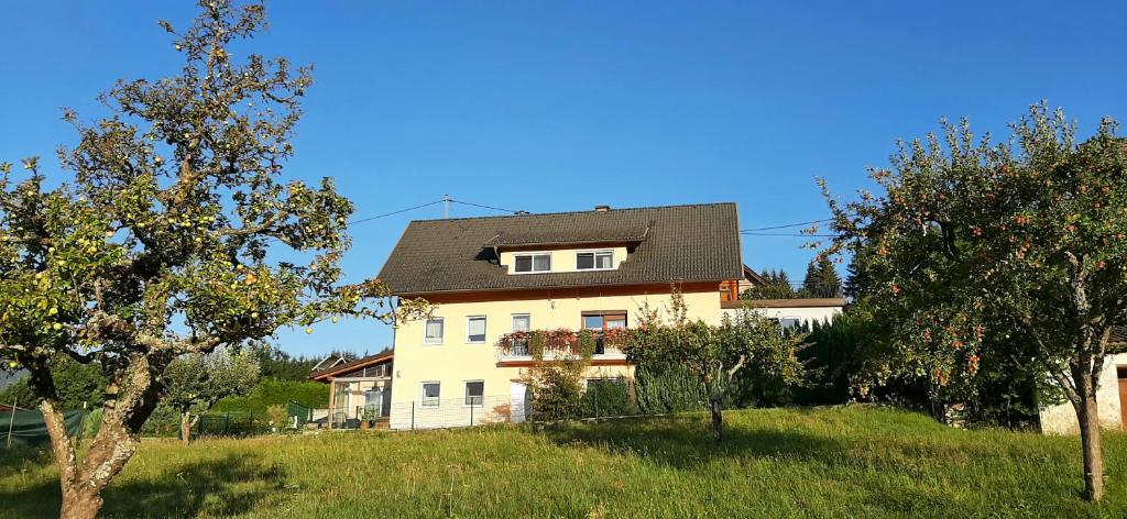 Haus Elvira - 4