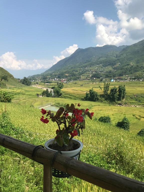 周辺案内