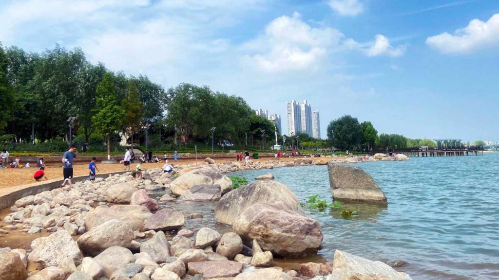 アクティビティ