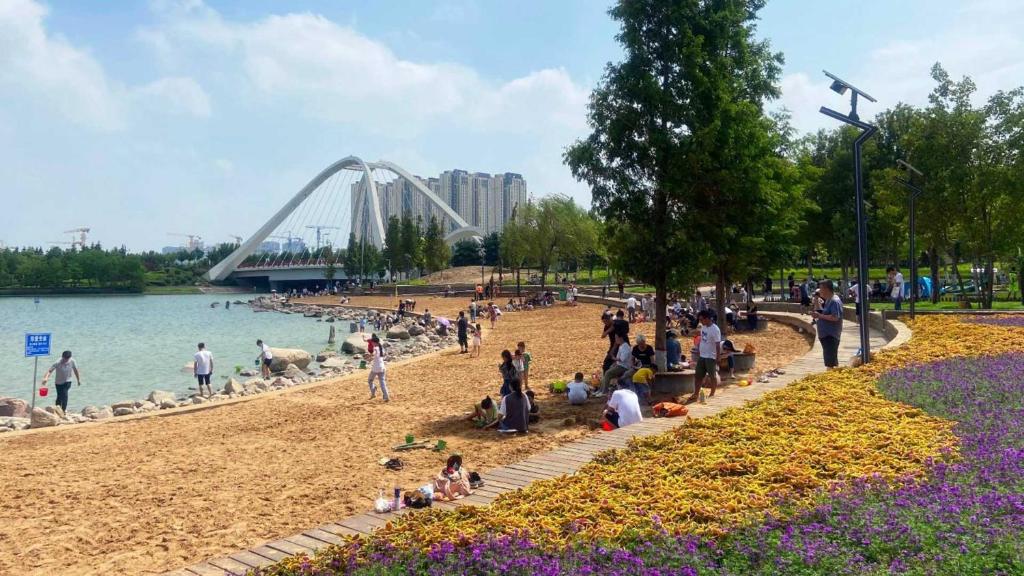 アクティビティ