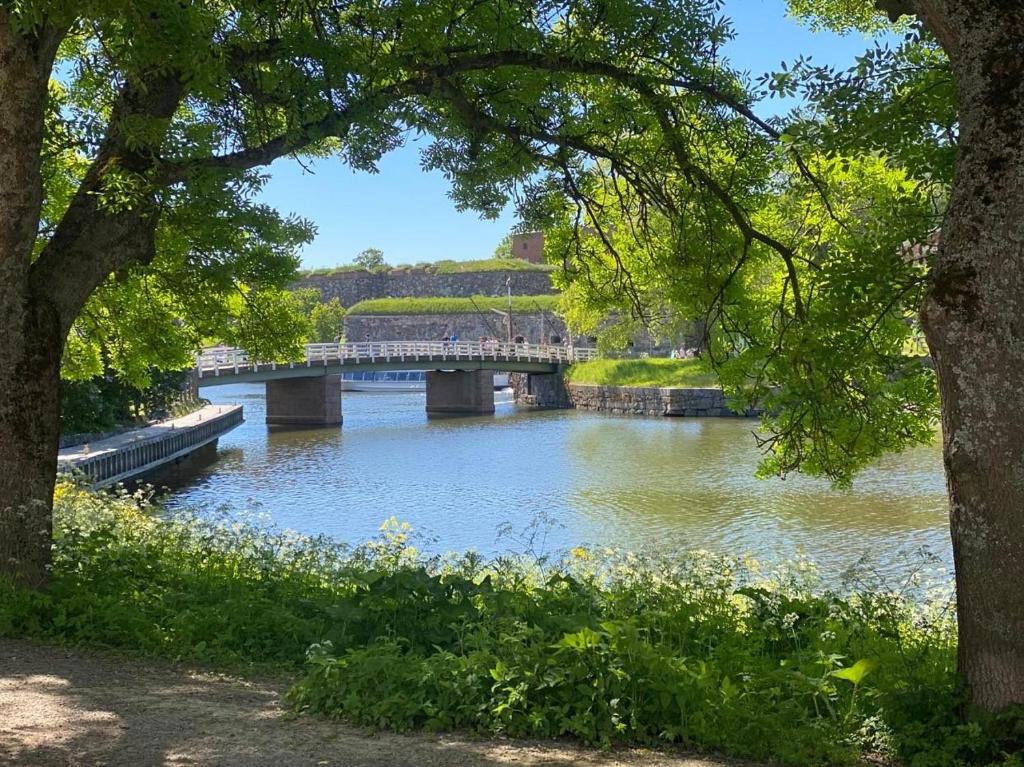 Surrounding environment