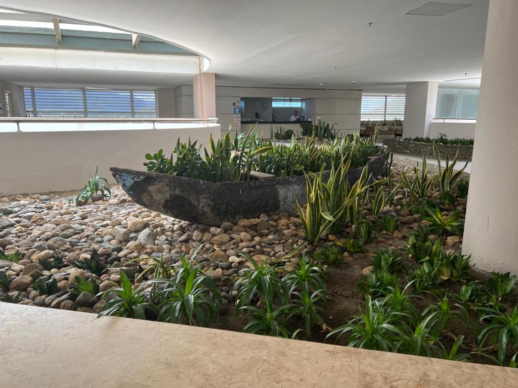 Reserva del Mar 810 - 3