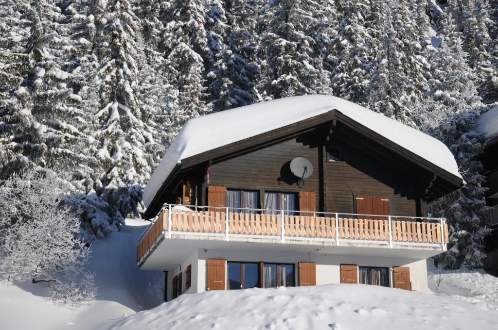 Favorite Parterre — Hotel in Riederalp