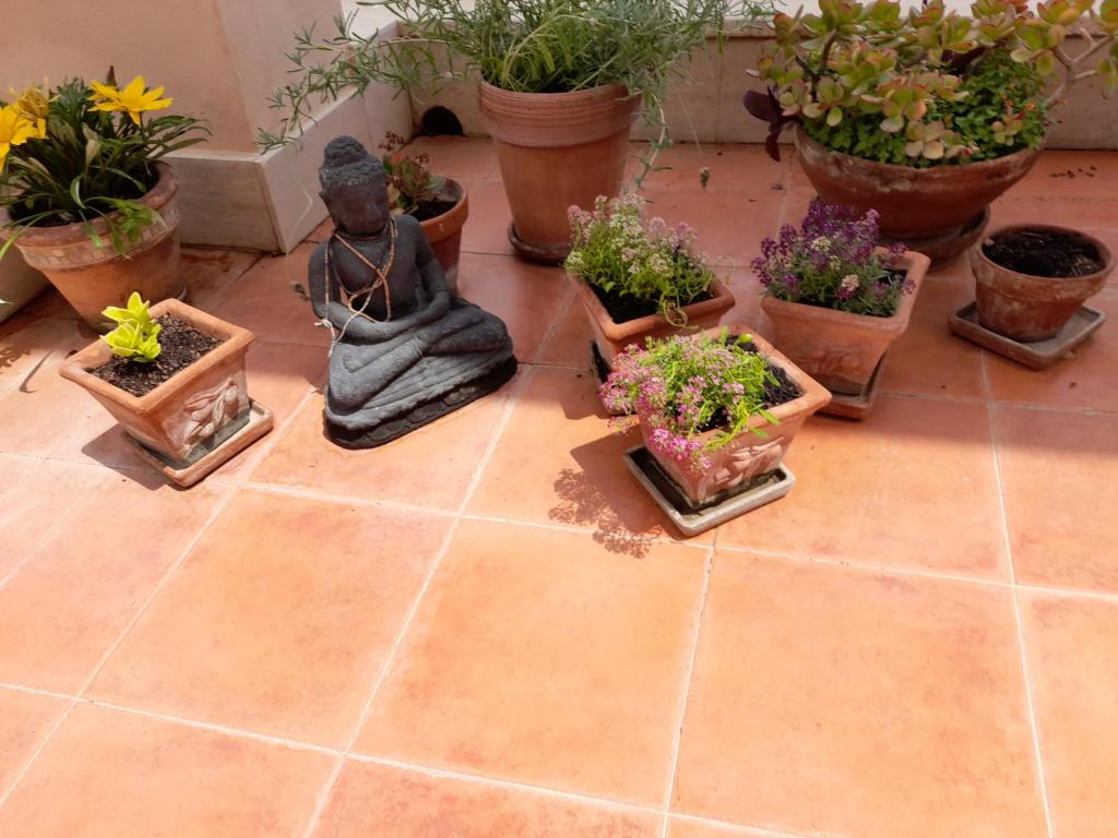 Sea view Penthouse with beautiful Terrace - Casa Verdi Jayanti - 4
