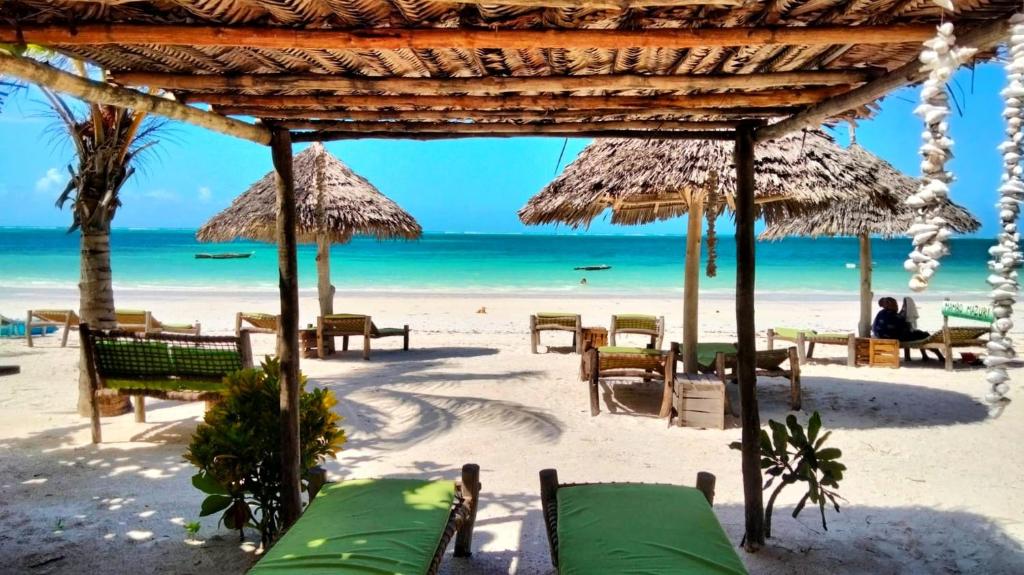 Mambo Mazuri, Zanzibar Kiwengwa photo