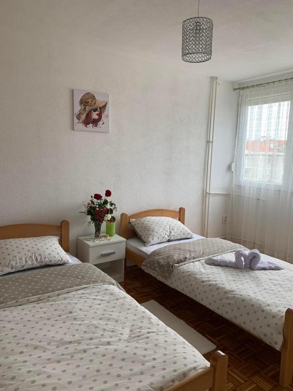 Apartman Nova Varos - 5