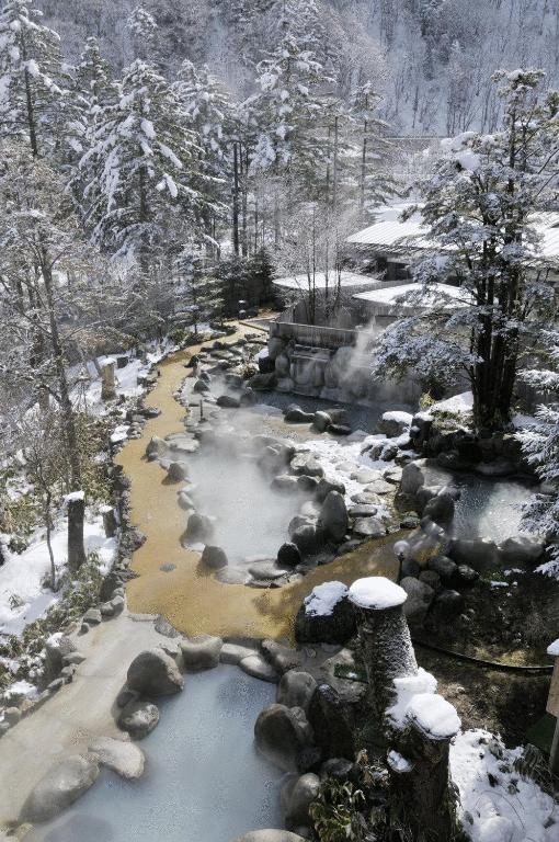 Hot spring bath, Hirayu no Mori in Takayama