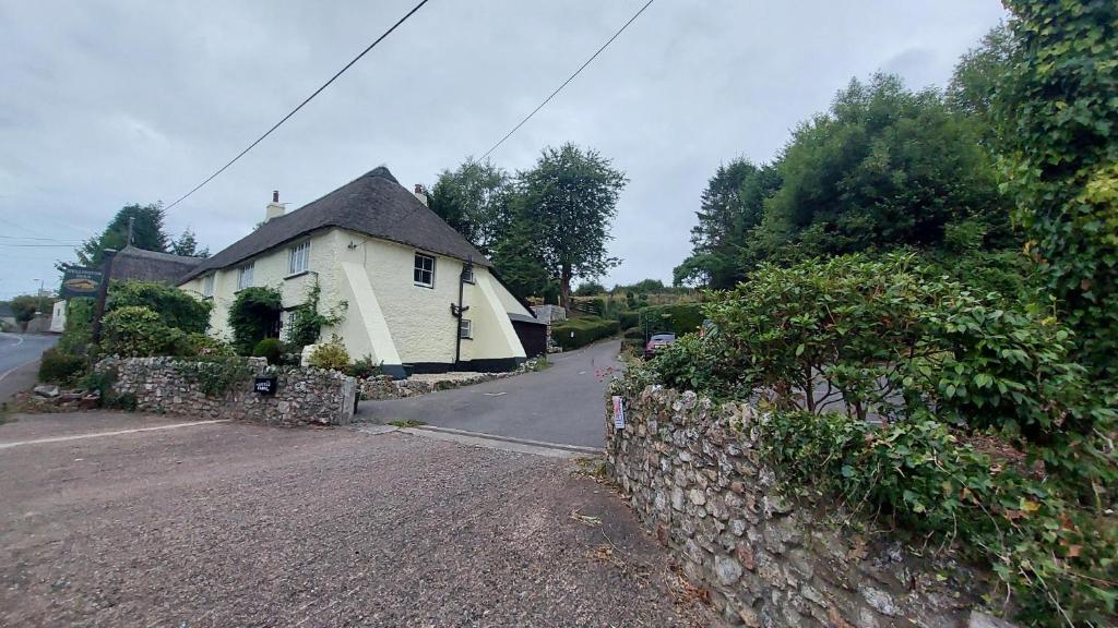 Holiday Cottage East Devon AONB (Dog Friendly) photo 6