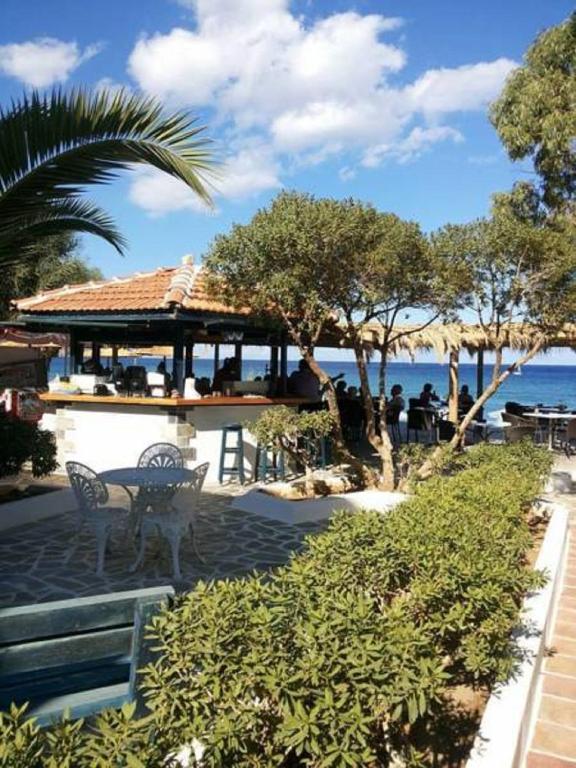 Apartments in Karpathos, Greece price from 23, reviews of