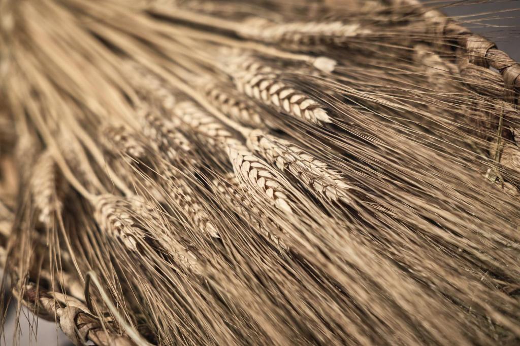 お料理のイメージ