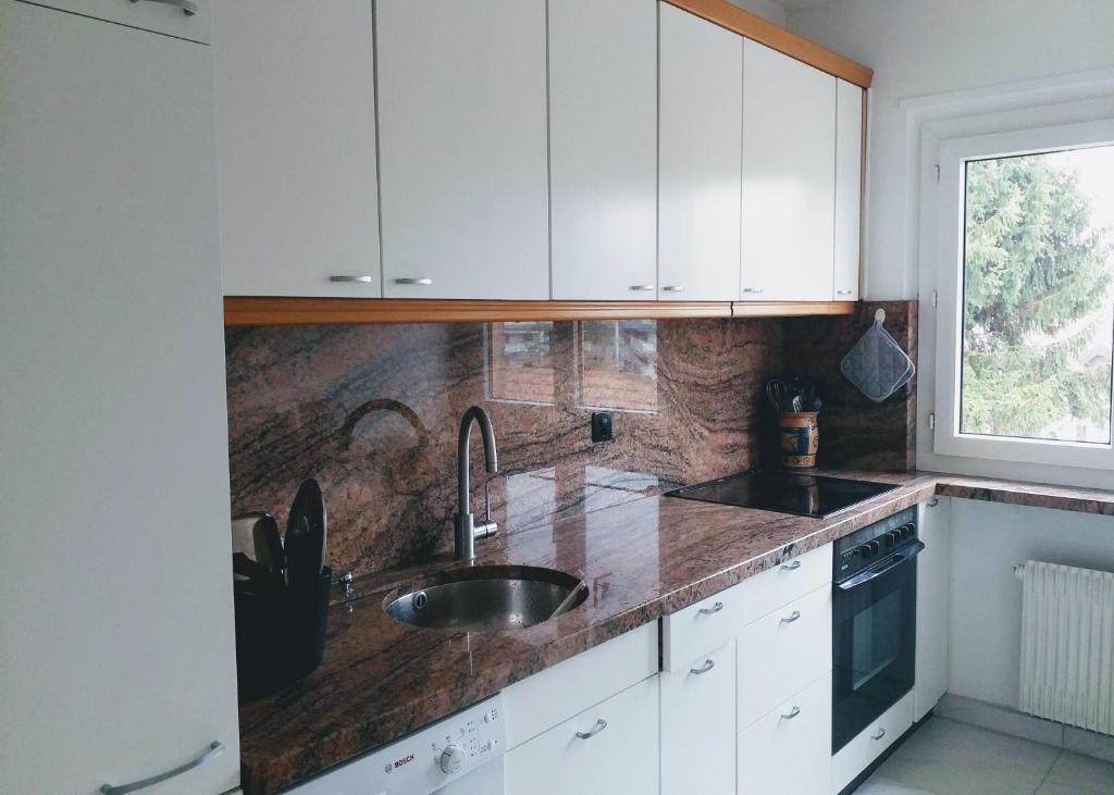Alpine Apartment - 3