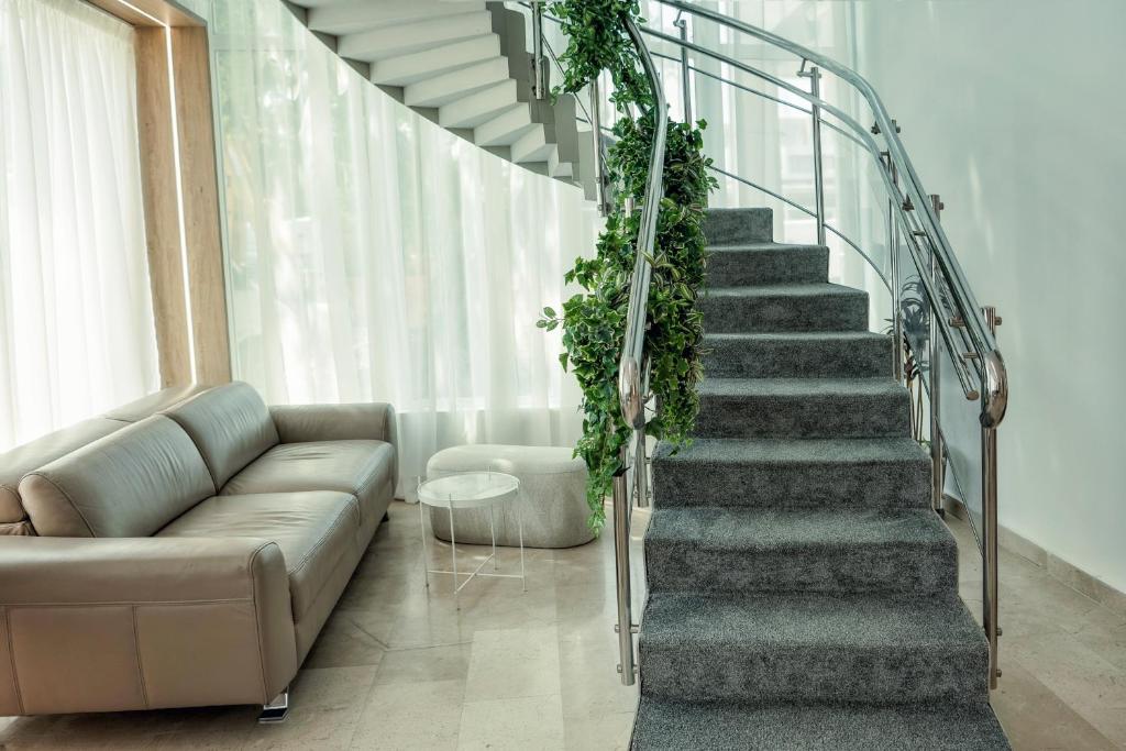 Complex Hotelier Steaua de Mare - Hotel Delfinul photo