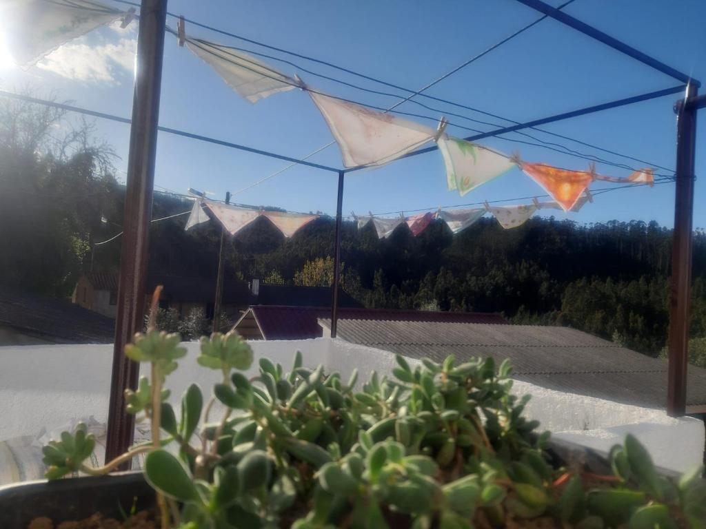 Casa da Póvoa, Póvoa