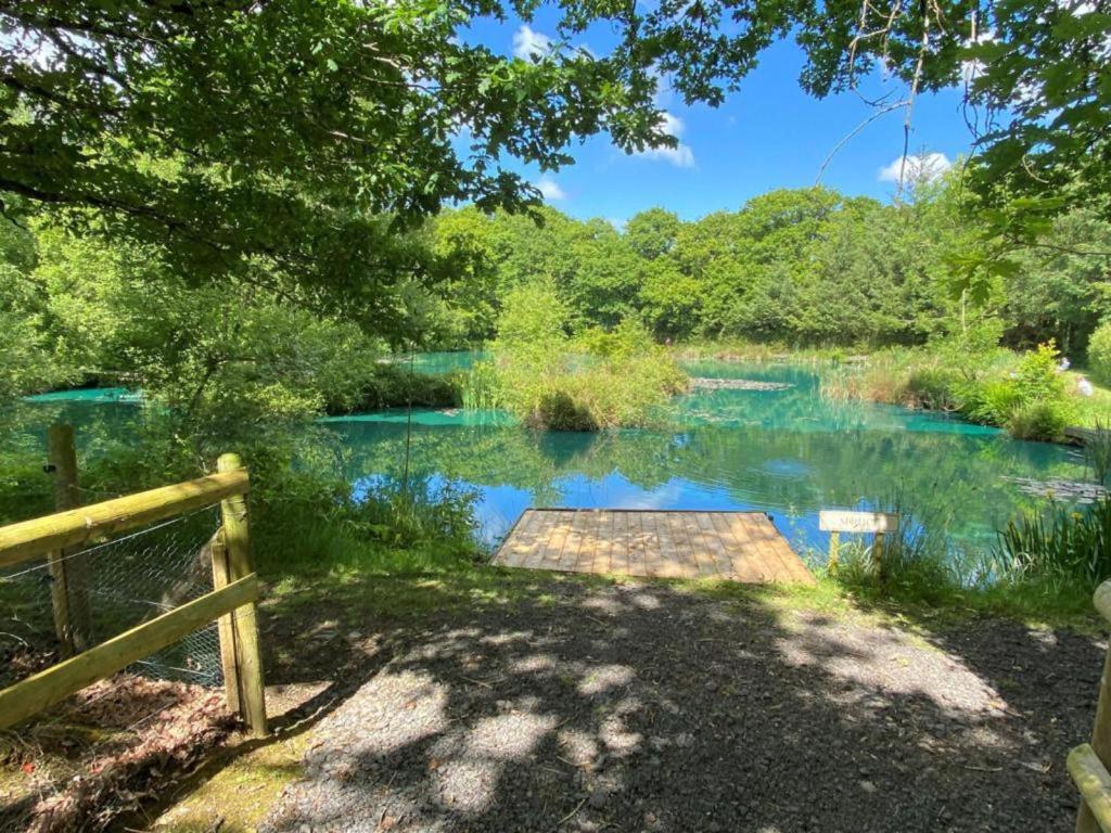 Converted French bus with stunning views, Exeter