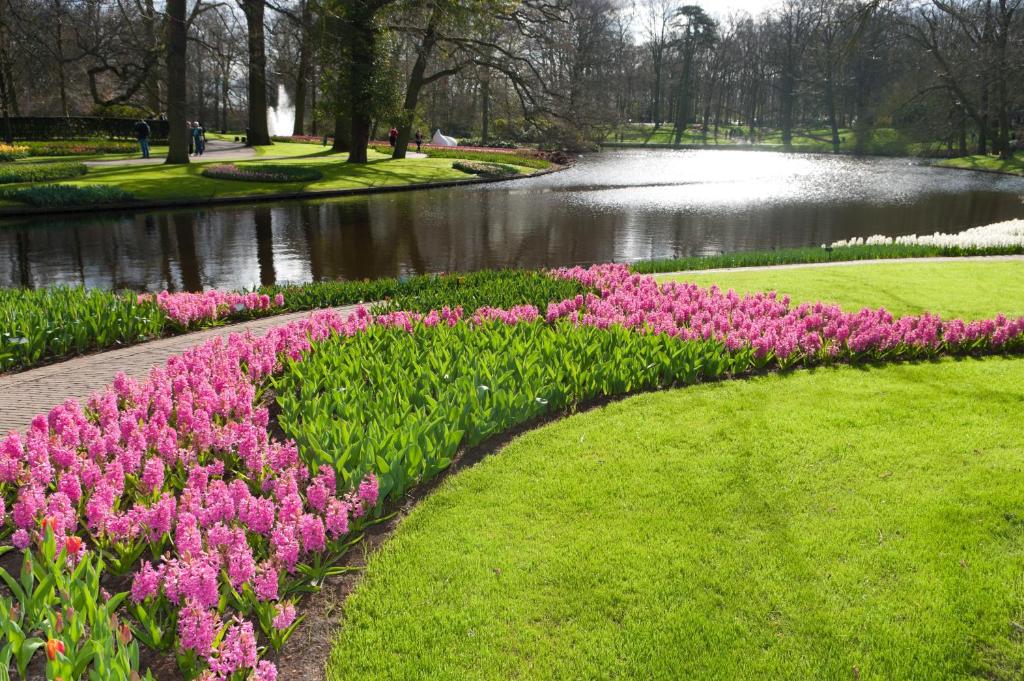 Tulip Inn Leiden Centre Photo 42