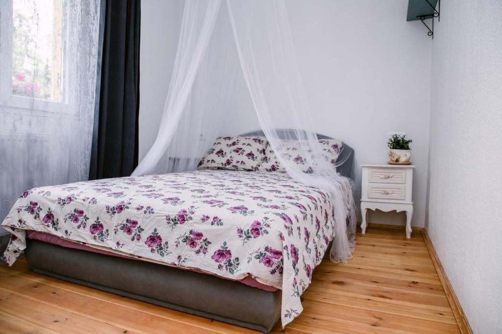 Kućerak Sofija, Čortanovci