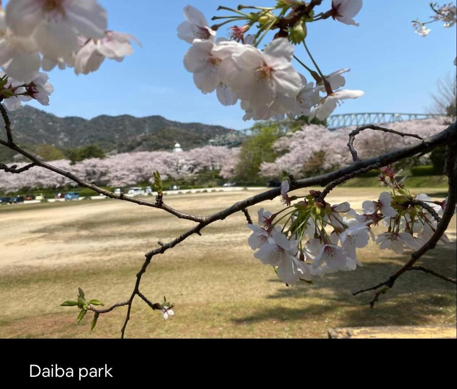 [Da Fern 숙소의 공용 주방]