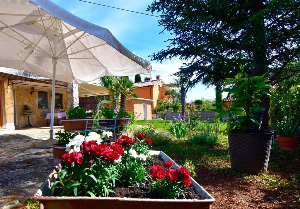 Apartments with parking space Savudrija Umag - 13589 전경