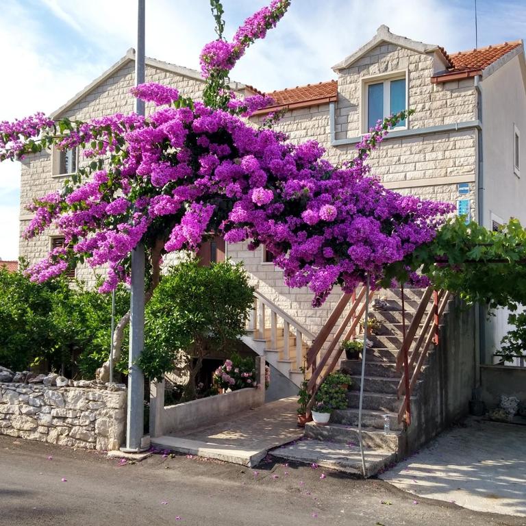 Apartments with parking space Supetar, Brac - 14720, Supetar