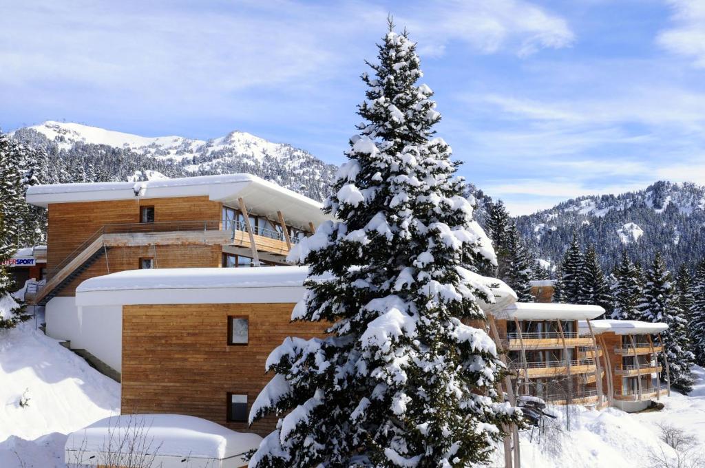 Au pays des marmottes Appartement 6 personnes plein sud sans vis à vis avec terrasse - 1