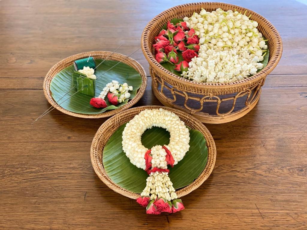 Programlehetőségek