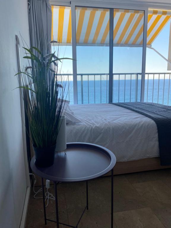 Sunrise beach palace studio - 3
